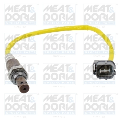 Oxygen Sensor